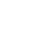 Vizyon